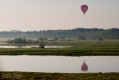 022_Biebrza - kwiecien 2012